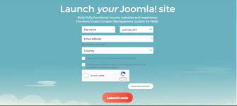 joomla website