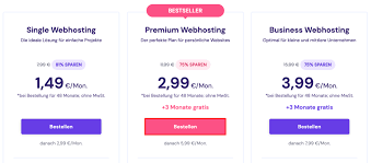 webseiten hosting vergleich