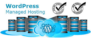 wordpress hosting für agenturen