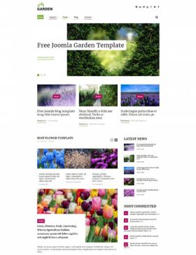 template joomla 3.10 free